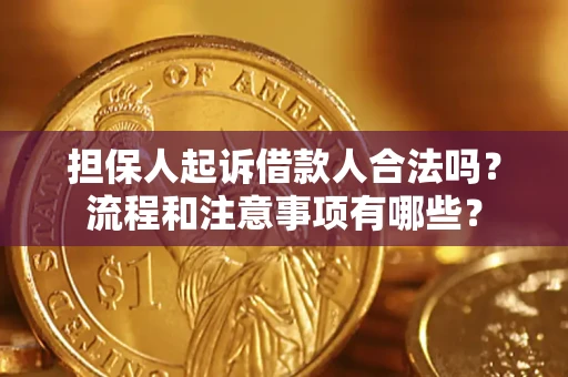 北京担保人起诉借款人合法吗？流程和注意事项有哪些？