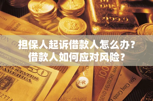 北京担保人起诉借款人怎么办？借款人如何应对风险？